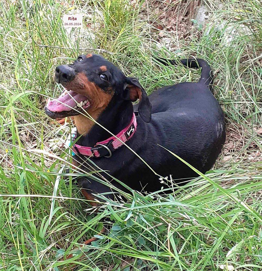 De La Tour De Cruzières - Nichée en JUILLET .........