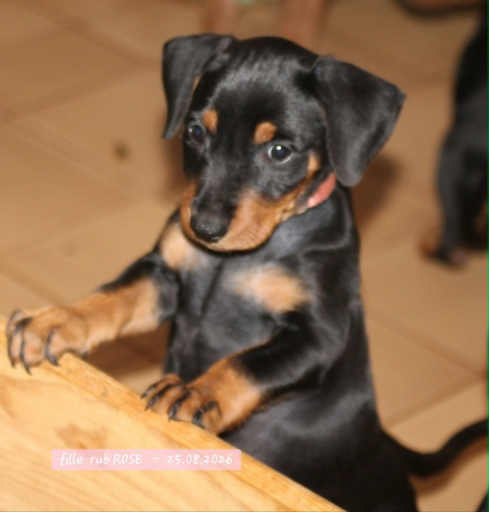 Une petite orpheline ........